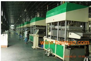 環保餐具設備與生產線 技術、生產與服務的全面解析